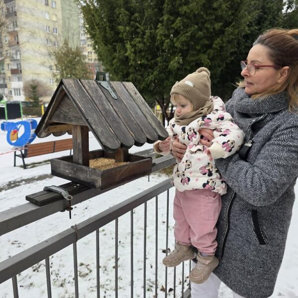 Dokarmianie ptaków gr. II