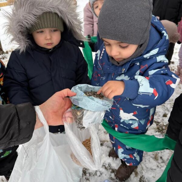 Dokarmianie ptaków w grupie III