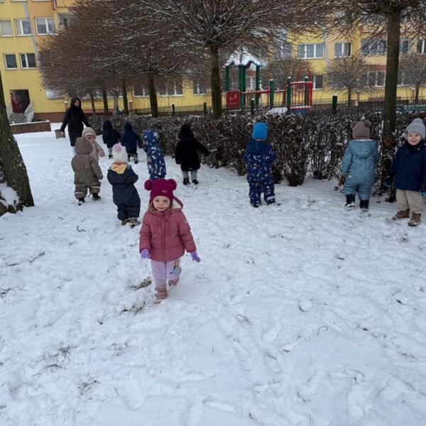 Dokarmianie ptaków w grupie III