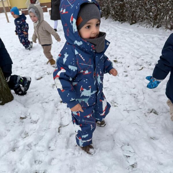 Dokarmianie ptaków w grupie III