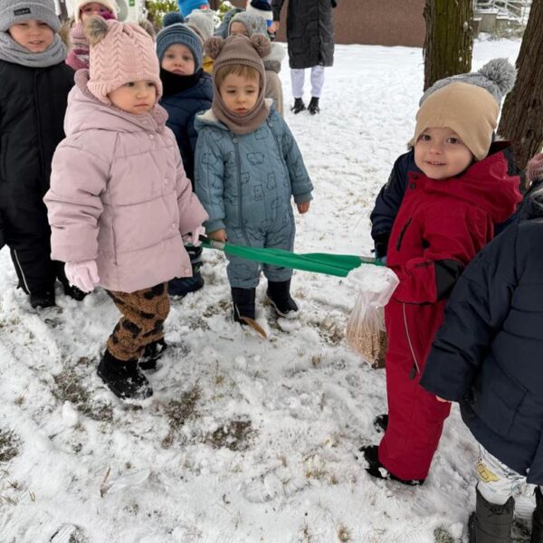 Dokarmianie ptaków w grupie III