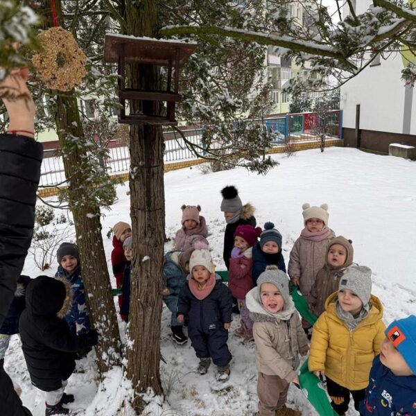 Dokarmianie ptaków w grupie III