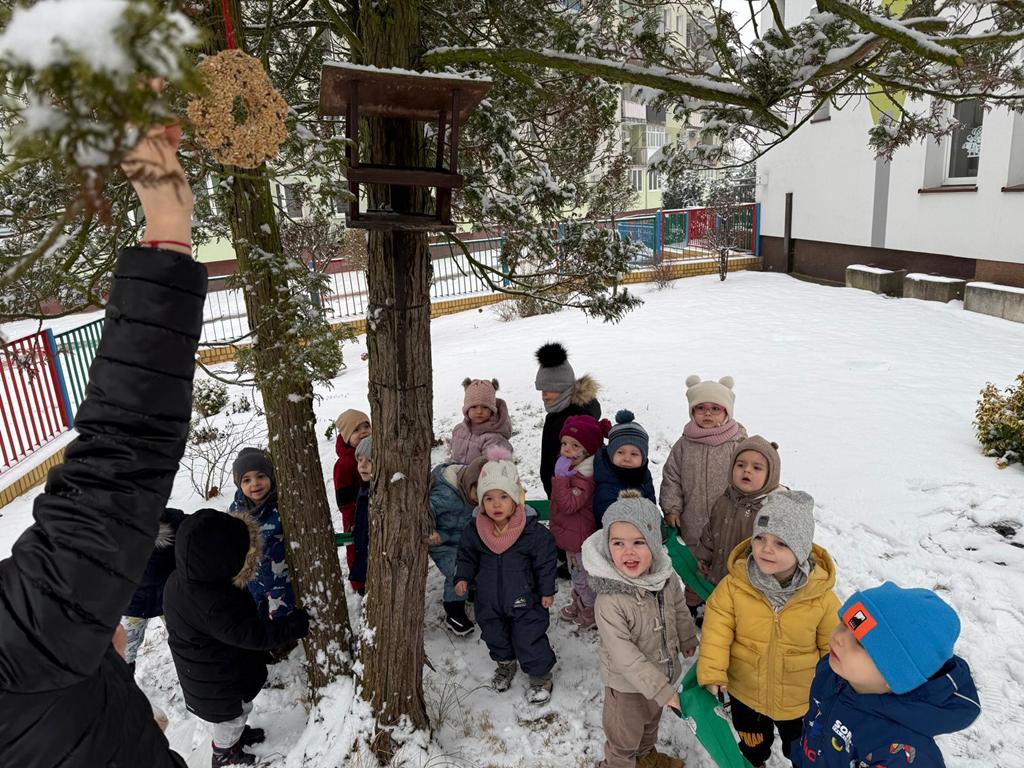 Dokarmianie ptaków w grupie III