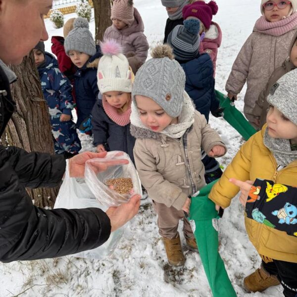 Dokarmianie ptaków w grupie III