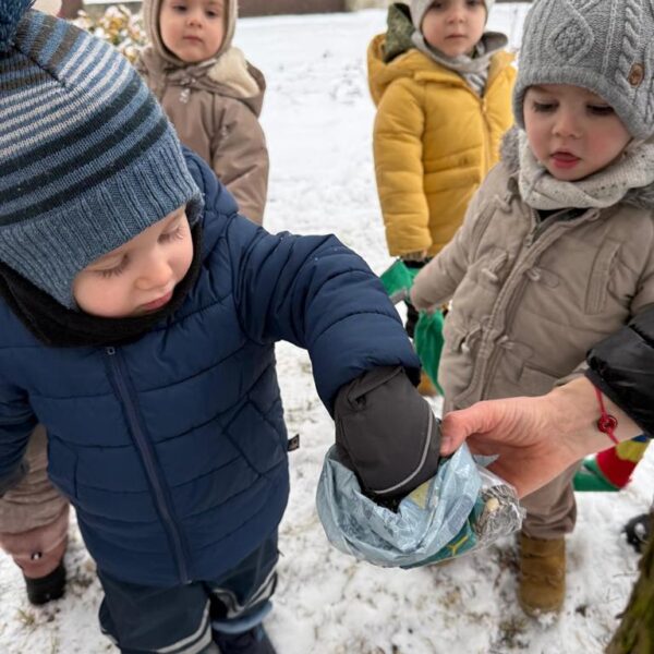 Dokarmianie ptaków w grupie III