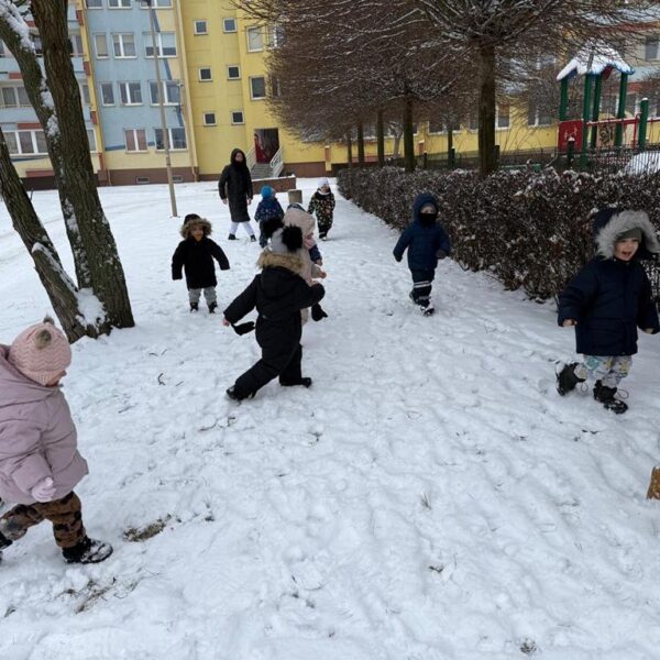 Dokarmianie ptaków w grupie III