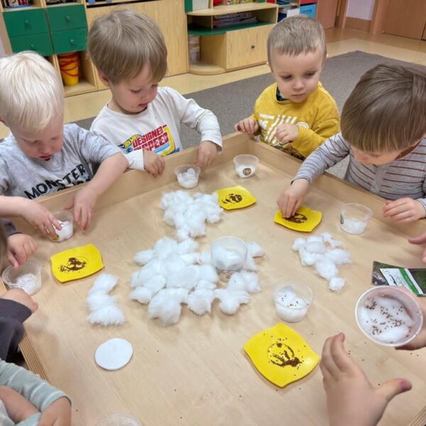 Dzień Motyla - grupa III