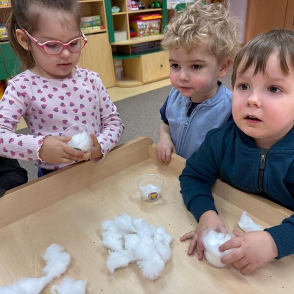 Dzień Motyla - grupa III