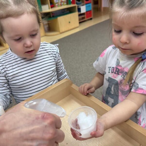 Dzień Motyla - grupa III