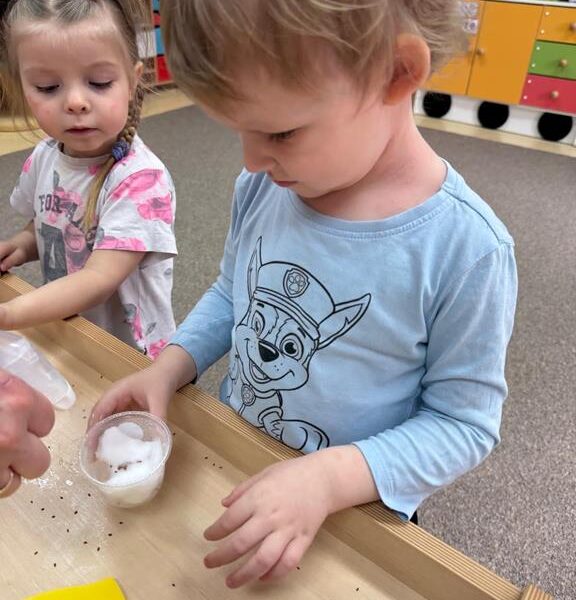 Dzień Motyla - grupa III