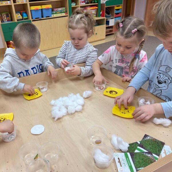 Dzień Motyla - grupa III