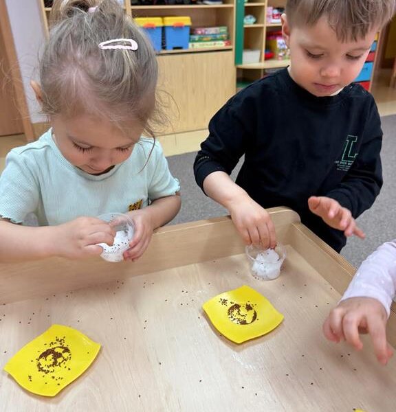 Dzień Motyla - grupa III