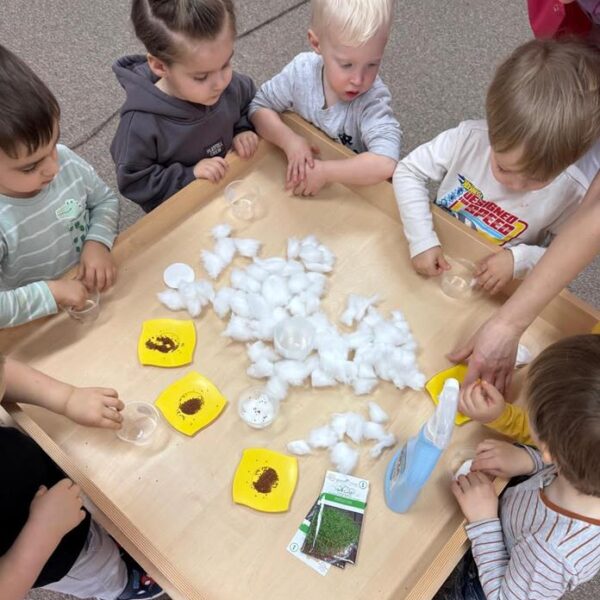 Dzień Motyla - grupa III