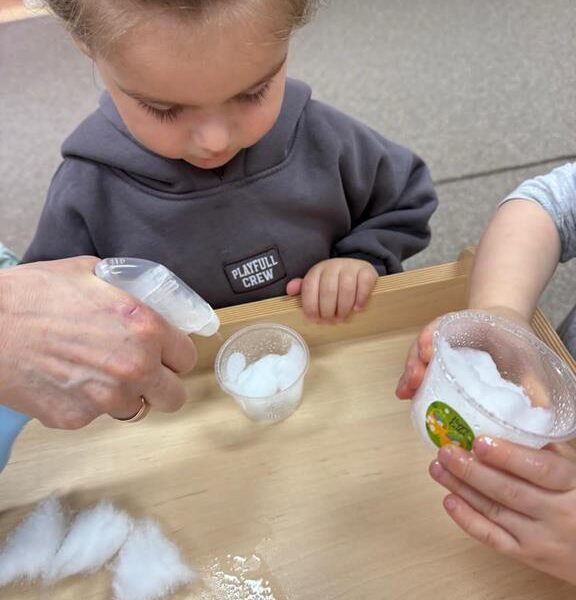 Dzień Motyla - grupa III