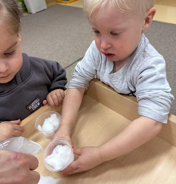 Dzień Motyla - grupa III