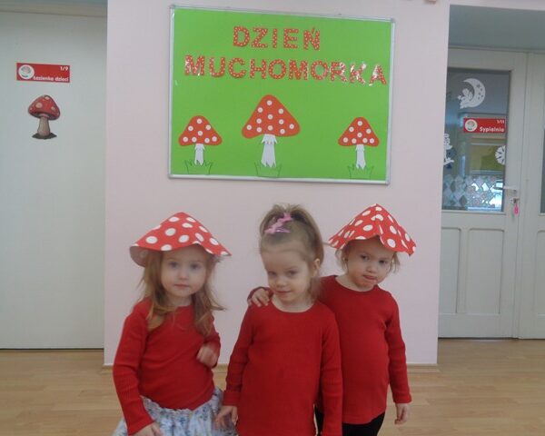 Dzień Muchomorka - grupa III