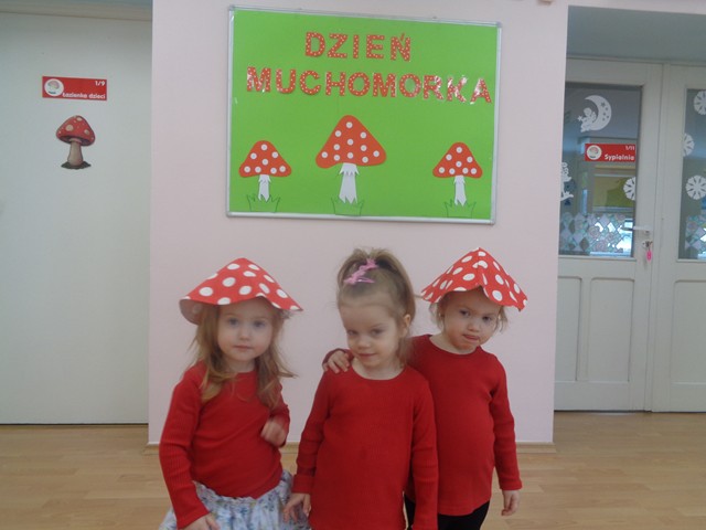 Dzień Muchomorka - grupa III