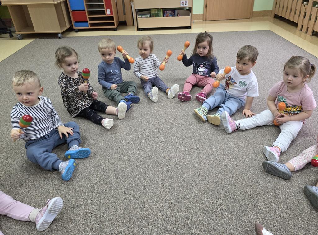 Zmysł słuchu - grupa II