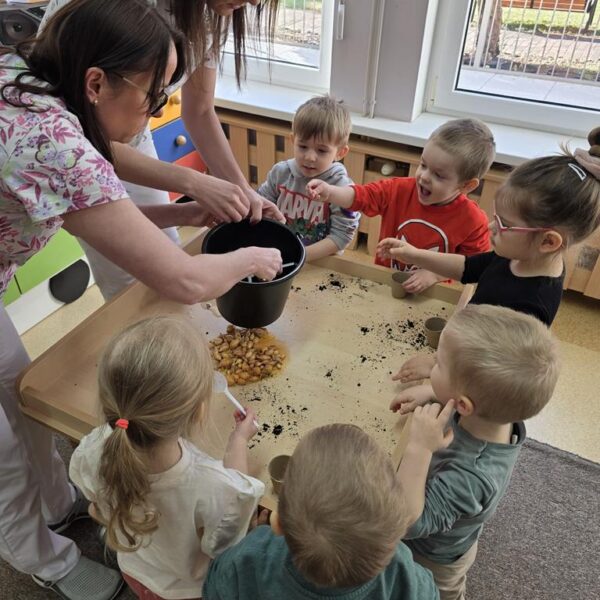Małe rączki - wielkie sadzenie, od cebulki do szczypiorku - grupa III