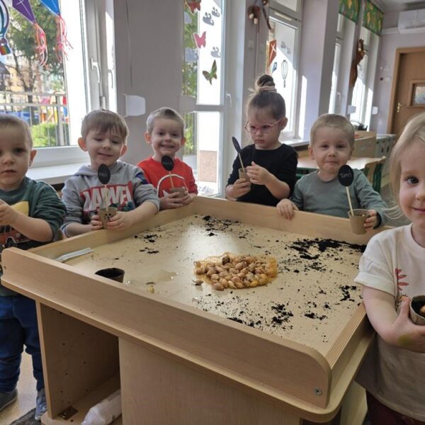 Małe rączki - wielkie sadzenie, od cebulki do szczypiorku - grupa III