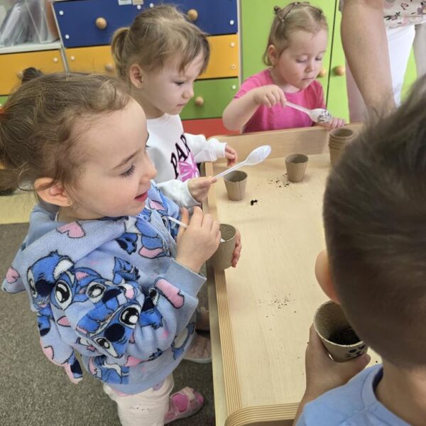 Małe rączki - wielkie sadzenie, od cebulki do szczypiorku - grupa III