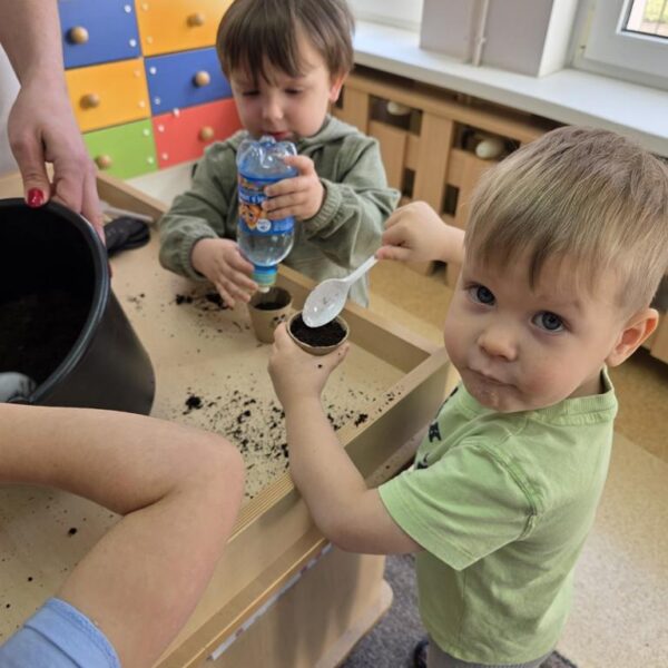 Małe rączki - wielkie sadzenie, od cebulki do szczypiorku - grupa III