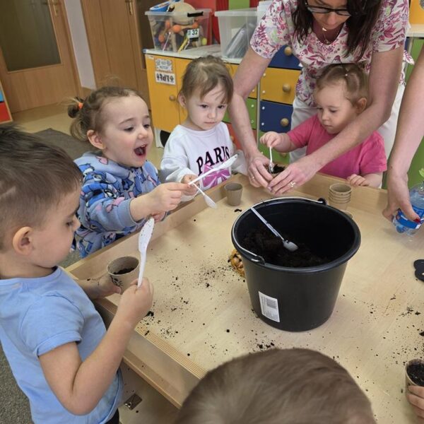 Małe rączki - wielkie sadzenie, od cebulki do szczypiorku - grupa III