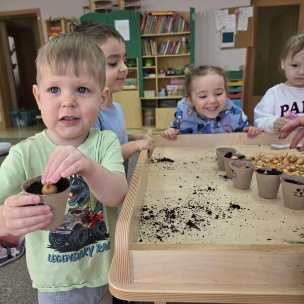 Małe rączki - wielkie sadzenie, od cebulki do szczypiorku - grupa III