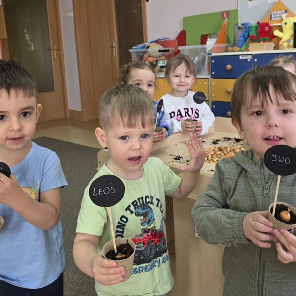 Małe rączki - wielkie sadzenie, od cebulki do szczypiorku - grupa III