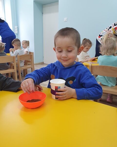 Sianie rzeżuchy - zabawa sensoryczna w grupie IV