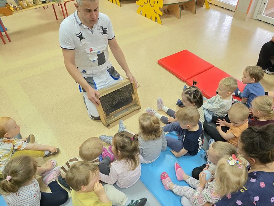 Dzień Pszczoły - poznajemy zawód pszczelarza grupa II