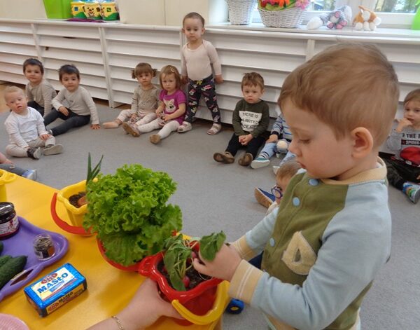 W naszym ogródeczku grupa II